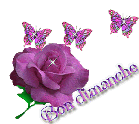 Gif Bon dimanche rose et papilons